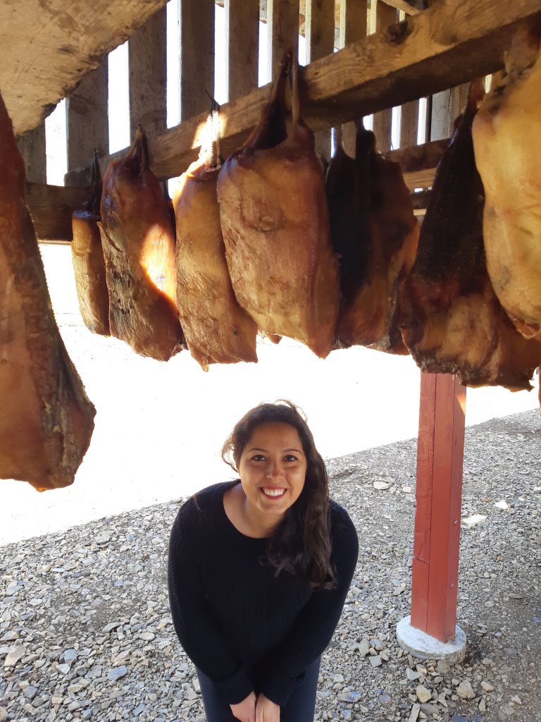 hákarl drying