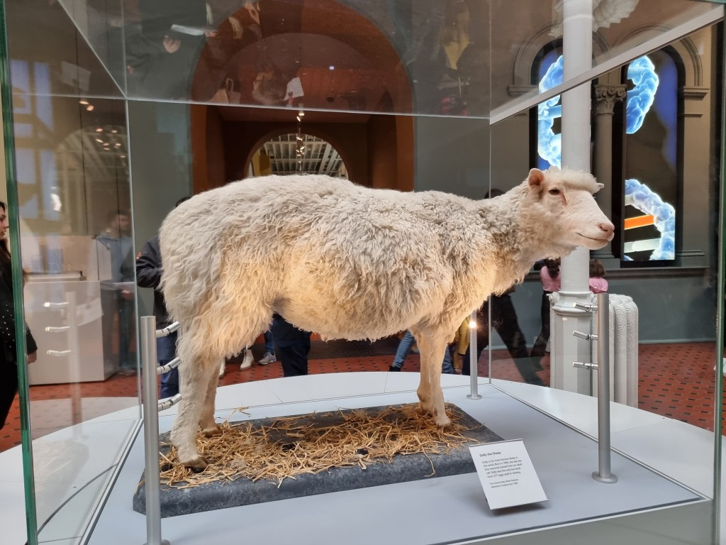 Dolly at the national museum of Scotland