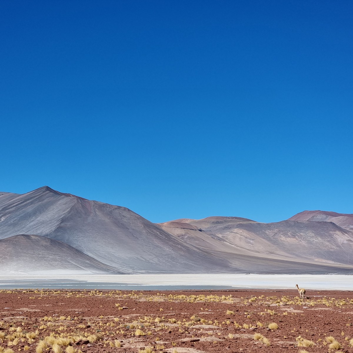 4 jours au désert de l&rsquo;Atacama: que faire dans le désert le plus aride au&nbsp;monde